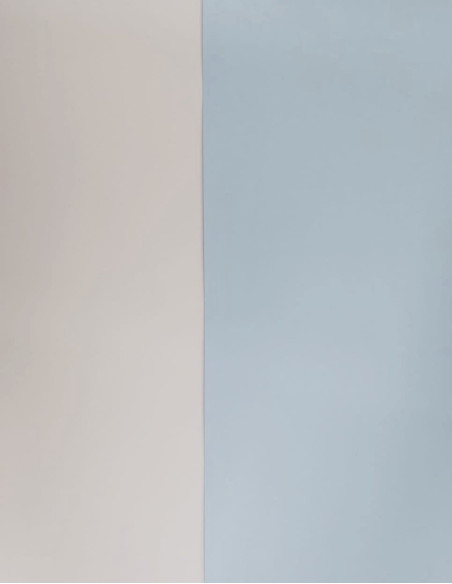 Vinilo textil premium, limón