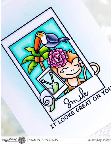 Sello Waffle-Flower Picture Perfect