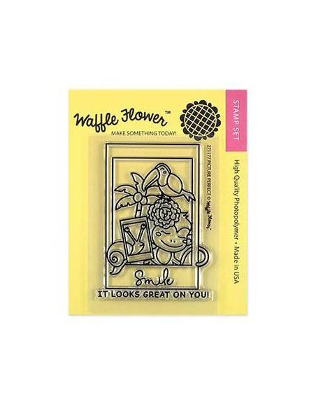 Sello Waffle-Flower Picture Perfect