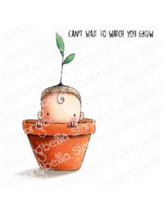 Sello Stampingbella sprouted Baby
