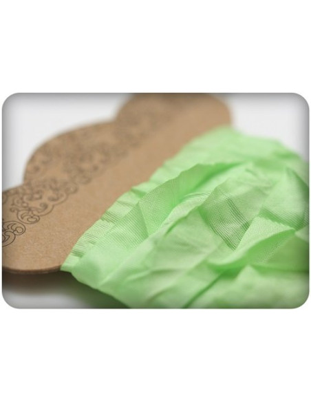 Shabby Ribbon verde