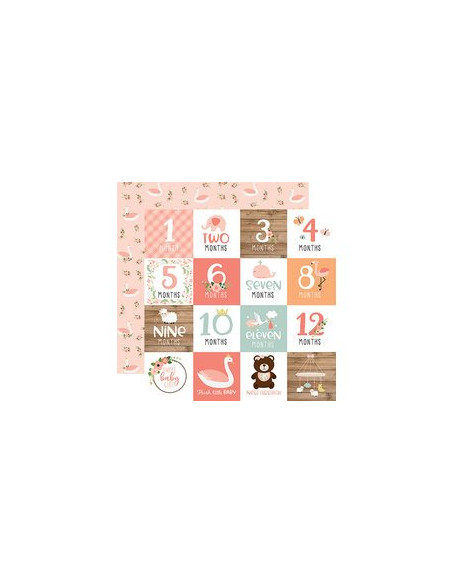 bolck 6x6 baby girl  echo park