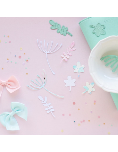 Troquel Estrella shaker de Mintopía