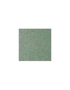 Polvos embossing agave de sizzix 2