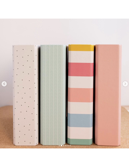 Álbum Flores de Summer Stories