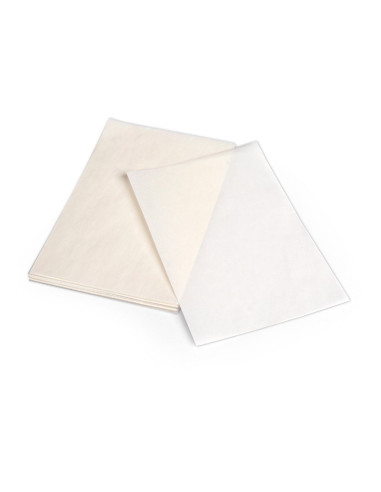 Pack 25 hojas protege papel de sizzix
