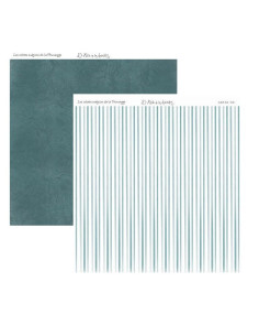 Primulas 009
