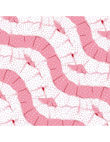 Troquelados hispania  de Paraes