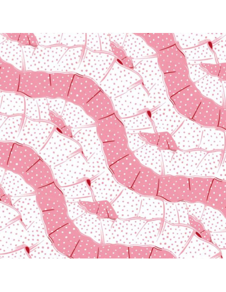 Troquelados hispania  de Paraes