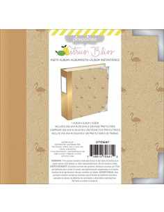 Carpeta  4x4 de project life dorado 2