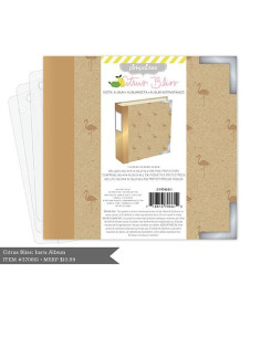 Carpeta  4x4 de project life dorado