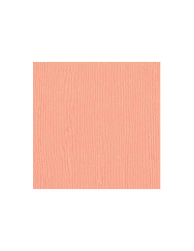 Cartulina texturizada Coastal de Bazzil