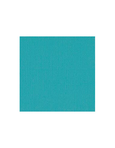 Cartulina texturizada Pauli Poo de Bazzil