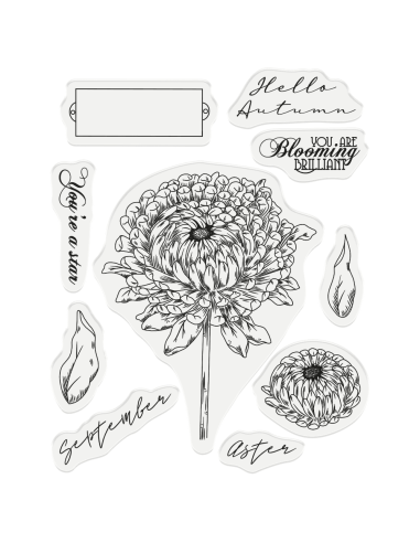 Sello+Troquel Septiembre Aster de Gemini