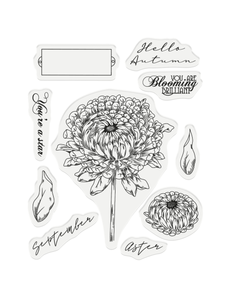 Sello+Troquel Septiembre Aster de Gemini