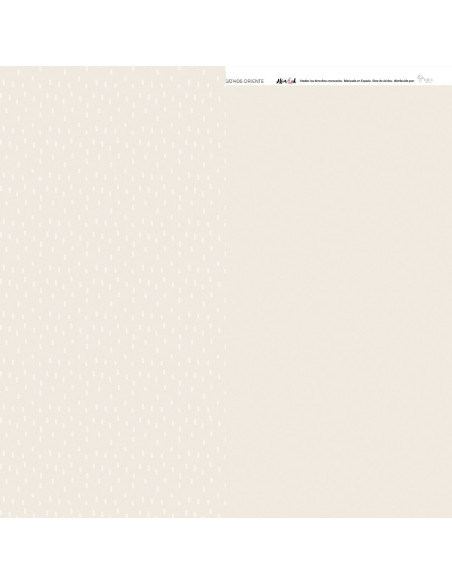 Cartulina Oriente de ARI