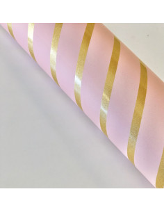 Papel especial laminado Picnic