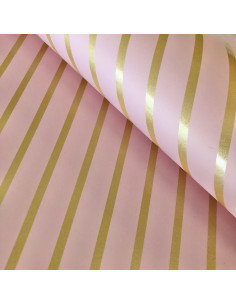 Papel especial laminado Picnic 2
