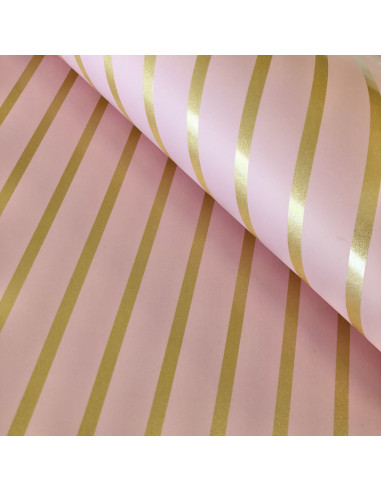 Papel especial laminado Picnic