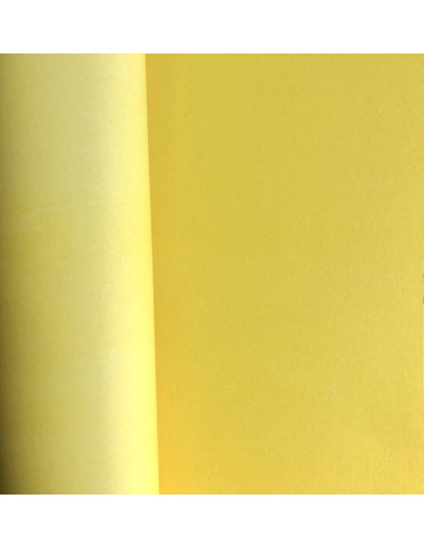 Papel básico 12"x12" Mintopía 23