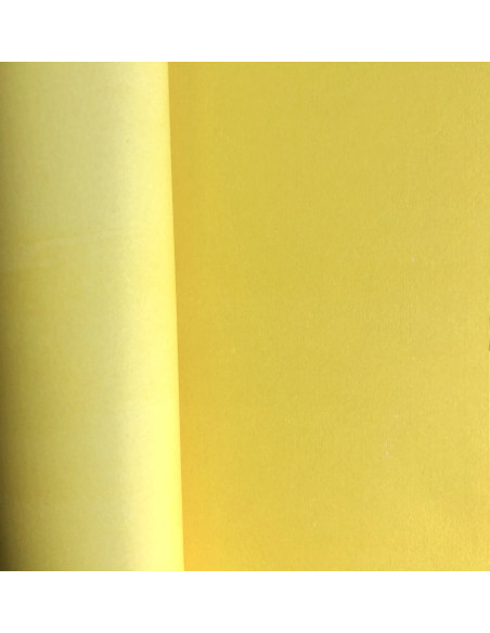 Papel básico 12"x12" Mintopía 23