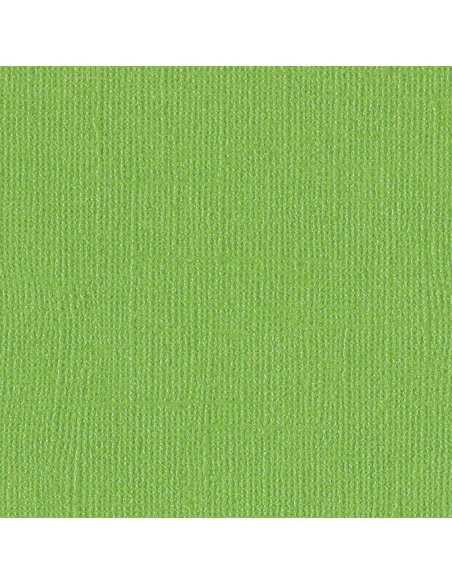 Cartulina Bankroll Perlada texturizada de Bazzil