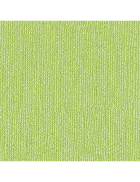 Cartulina Petty Cash Perlada texturizada de Bazzil