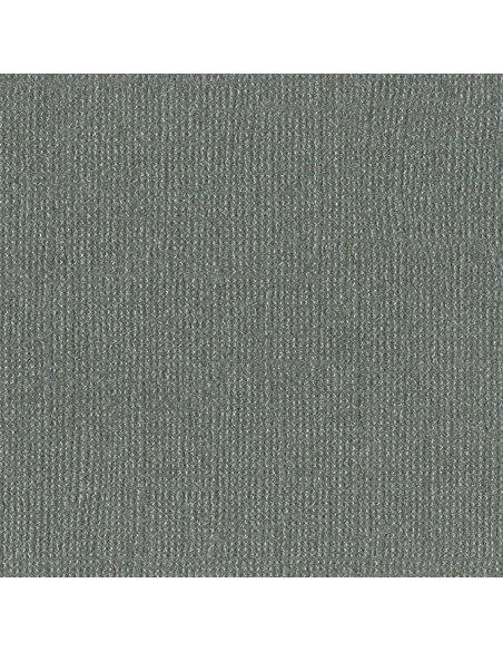 Cartulina Tungsten Perlada texturizada de Bazzil