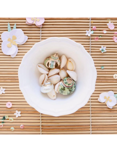 Surtido de conchas Aloha de Mintopía