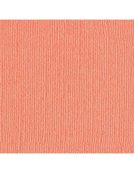 Cartulina Fresno Perlada texturizada de Bazzil