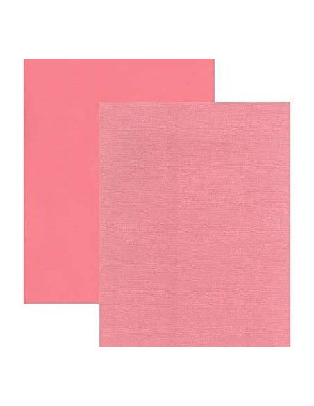 Cartulina Flamingo Perlada texturizada de Bazzil