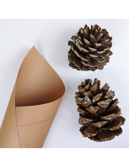 Cartulina Golpiño de Golpiño