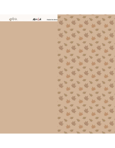 Cartulina Ardilla de Golpiño