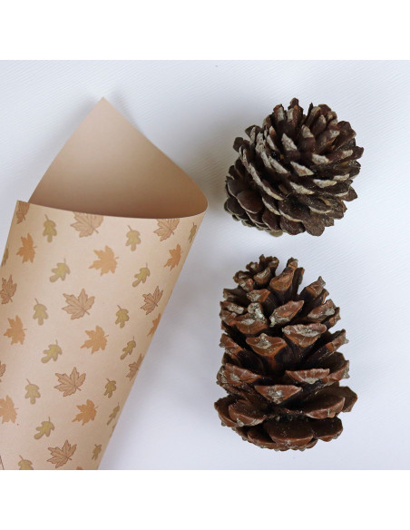 Cartulina Ardilla de Golpiño