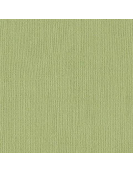 Cartulina texturizada Peacock de Bazzil