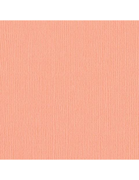 Cartulina texturizada Coastal de Bazzil