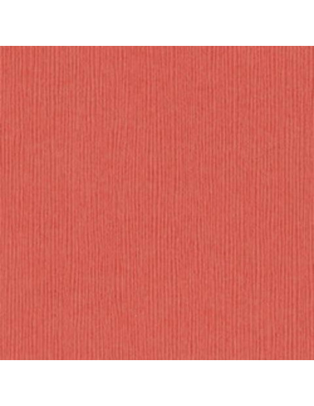 Cartulina texturizada Arroyo de Bazzil