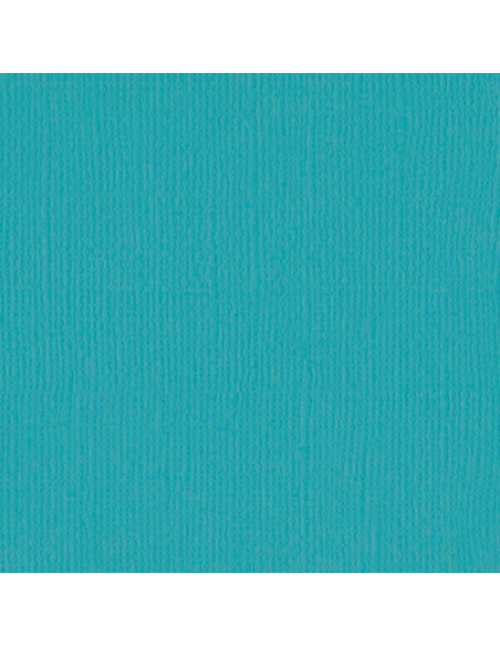 Cartulina texturizada Pauli Poo de Bazzil