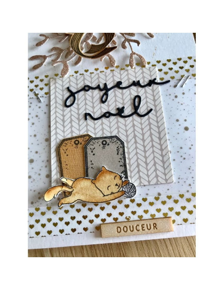 Set de Sellos Acrílicos Lindos Gatitos Canela y Chocolate Floriléges