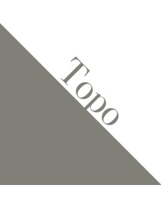 A3 Cartulina Topo