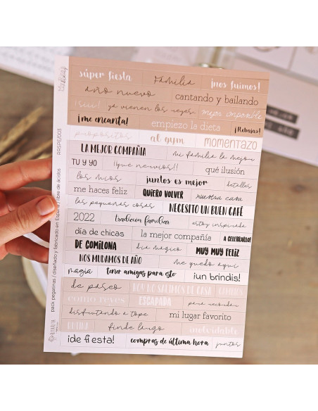 Pack pegatinas My Rita's Diary 2022