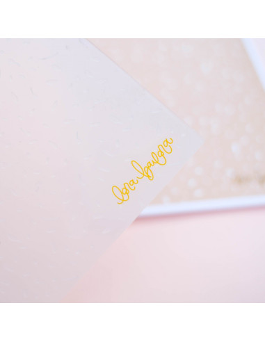 Carpeta de Embossing Pétalos Lora Bailora