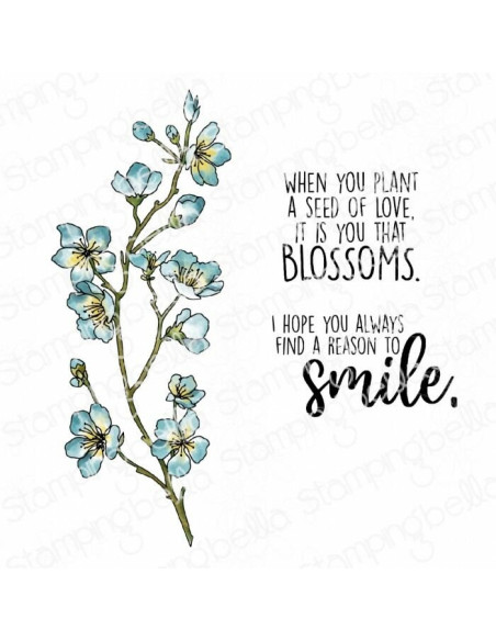 Sello de Caucho Cherry Blossom Branch de Stamping bella