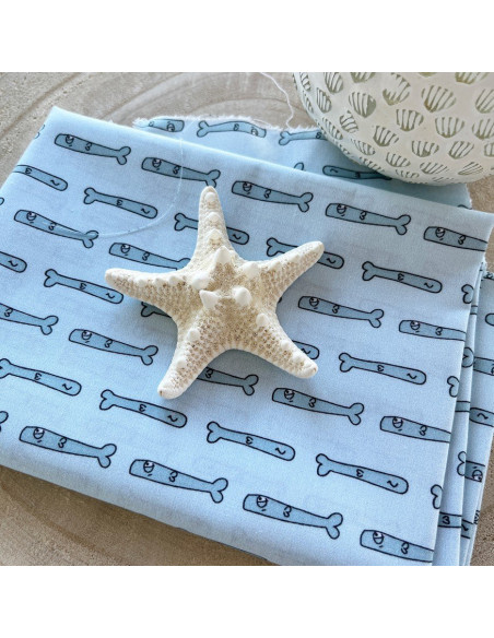 Tela Sardinas, Playa o Piscina Alúa Cid