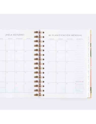 Agenda Diaria 22-23 Mediana Tulipanes Charuca