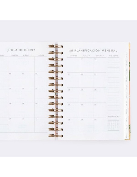 Agenda Diaria 22-23 Mediana Tulipanes Charuca