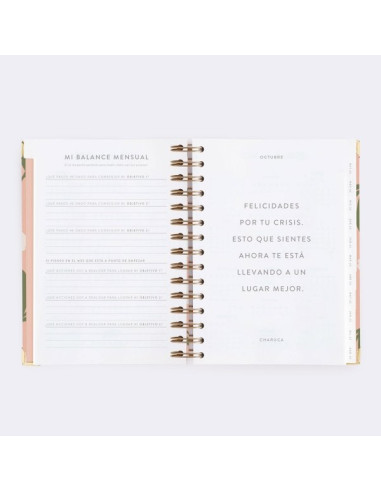 Agenda Diaria 22-23 Mediana Tulipanes Charuca