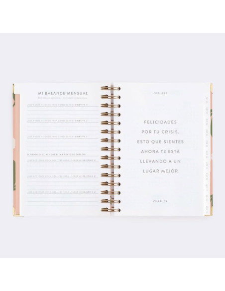 Agenda Diaria 22-23 Mediana Tulipanes Charuca