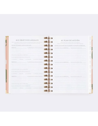 Agenda Diaria 22-23 Mediana Tulipanes Charuca