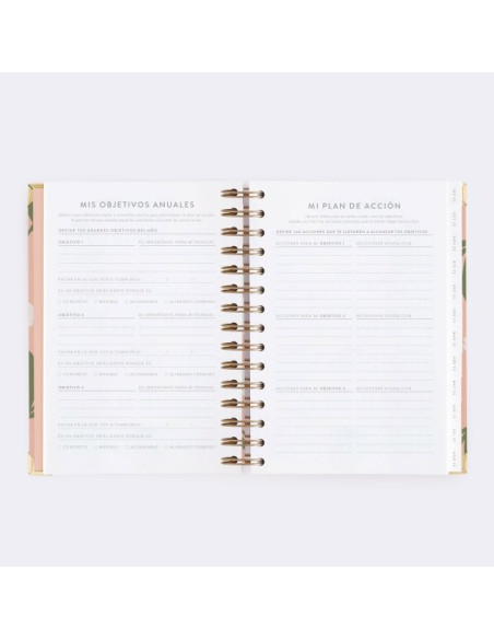 Agenda Diaria 22-23 Mediana Tulipanes Charuca